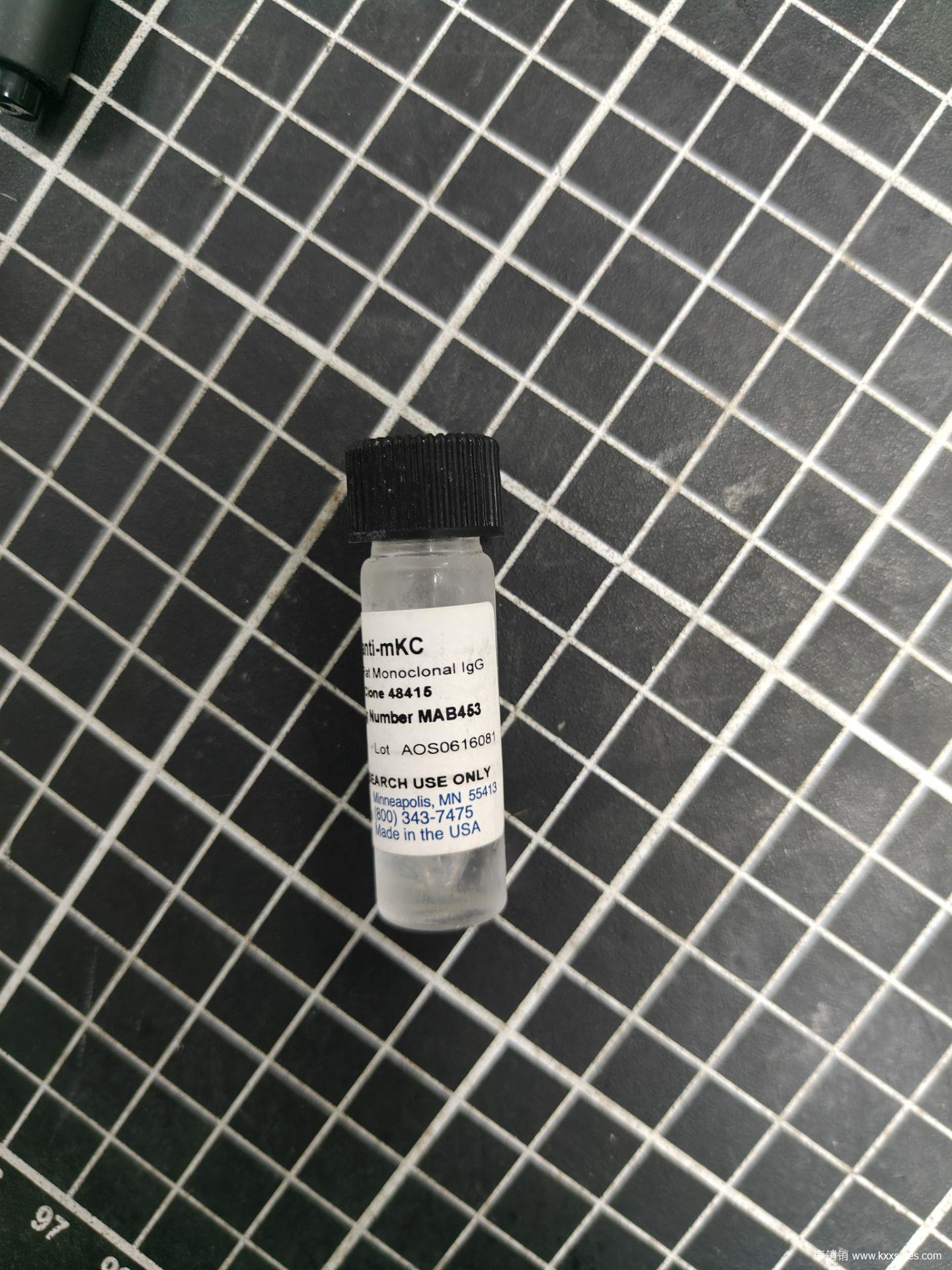 Mouse CXCL1/GRO alpha /KC/CINC-1 Antibody
