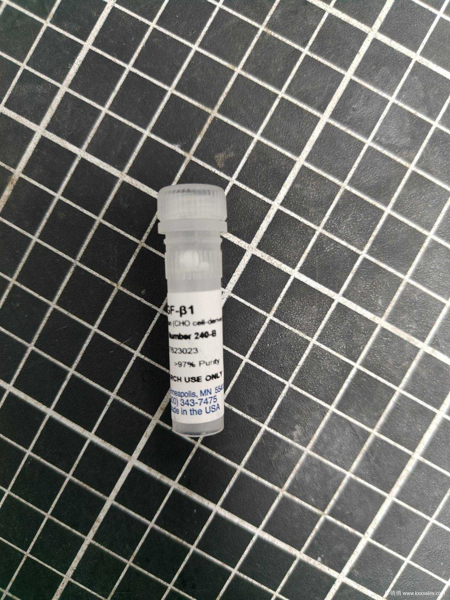 Recombinant Human TGF-beta 1 Protein (10 UG)