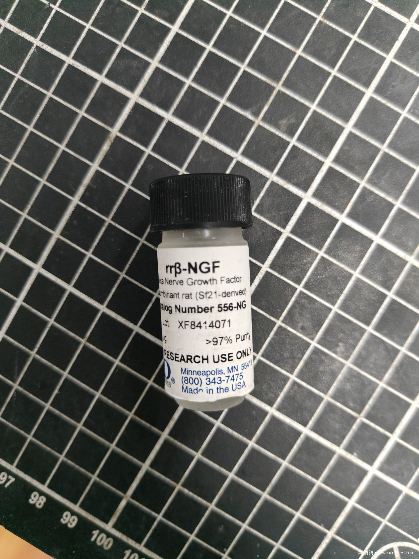 Recombinant Rat beta-NGF